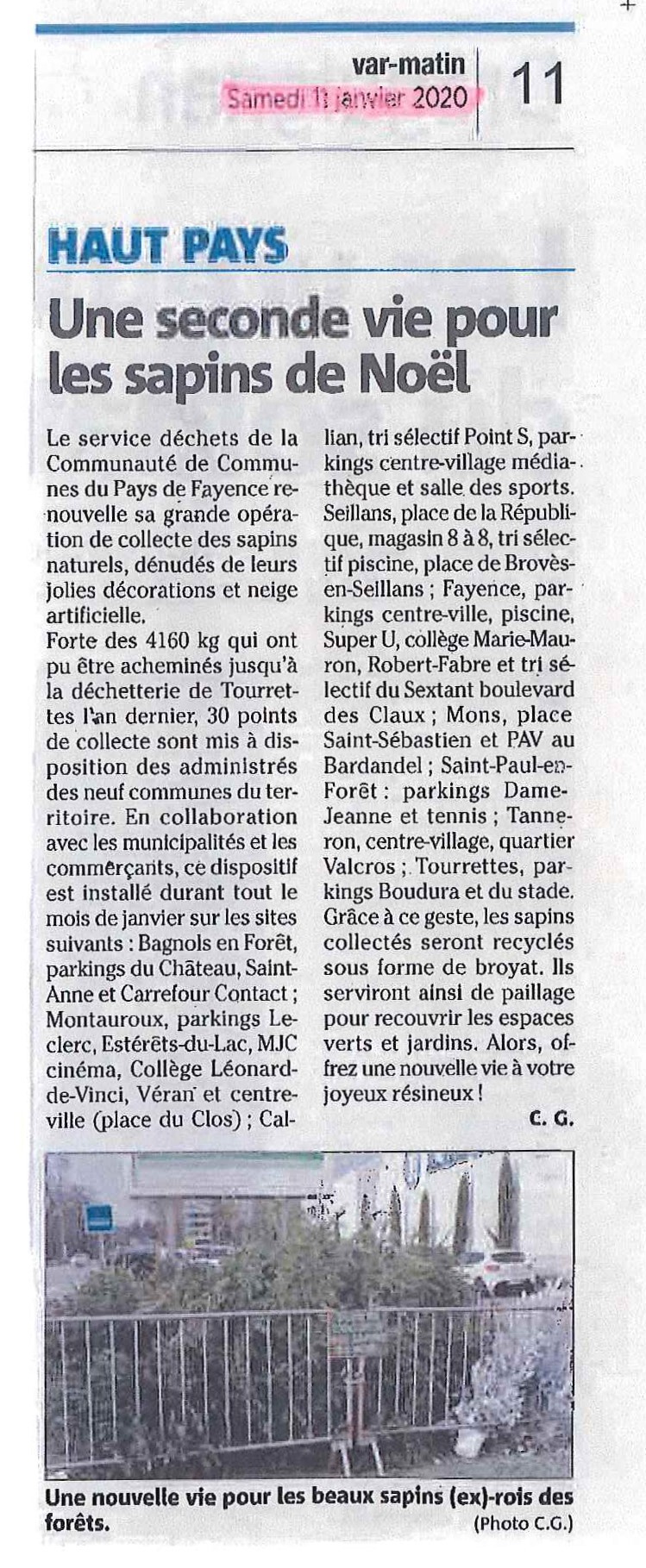 Une seconde vie pour les sapins de Noël